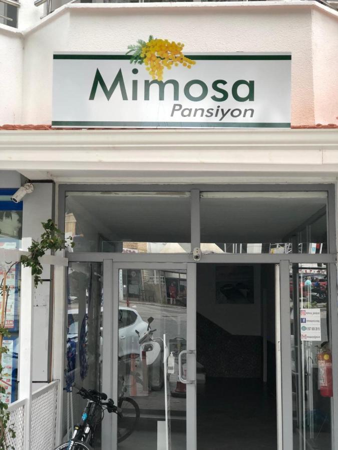 Mimosa Pension Kaş Exteriér fotografie