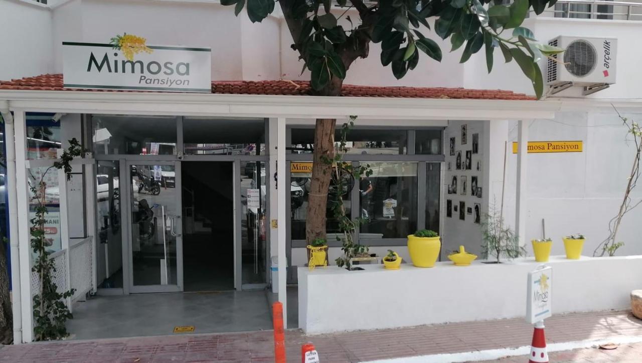 Mimosa Pension Kaş Exteriér fotografie